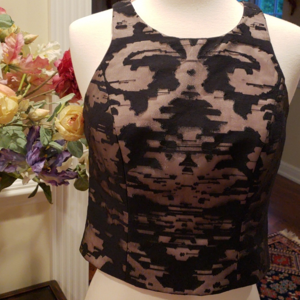 Milly Black Sheer and Pink Crop Top size 2 NWT